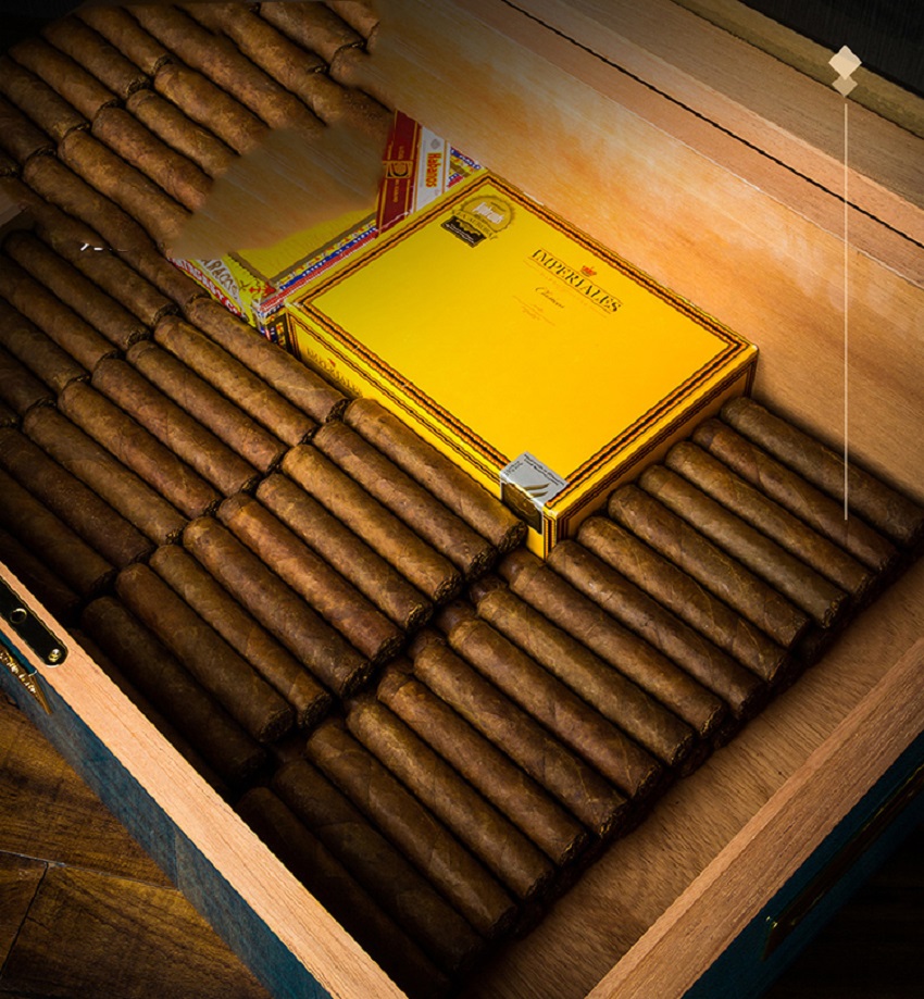 Hộp ủ bảo quản xì gà Lubinski YJA 60013 bảo hành 2 năm Hop-thuoc-xi-ga-250-dieu