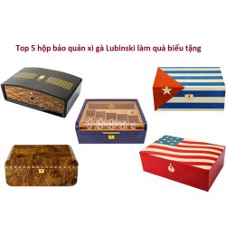 Top 5 hộp bảo quản xì gà Lubinski làm quà biếu tặng cực sang trọng
